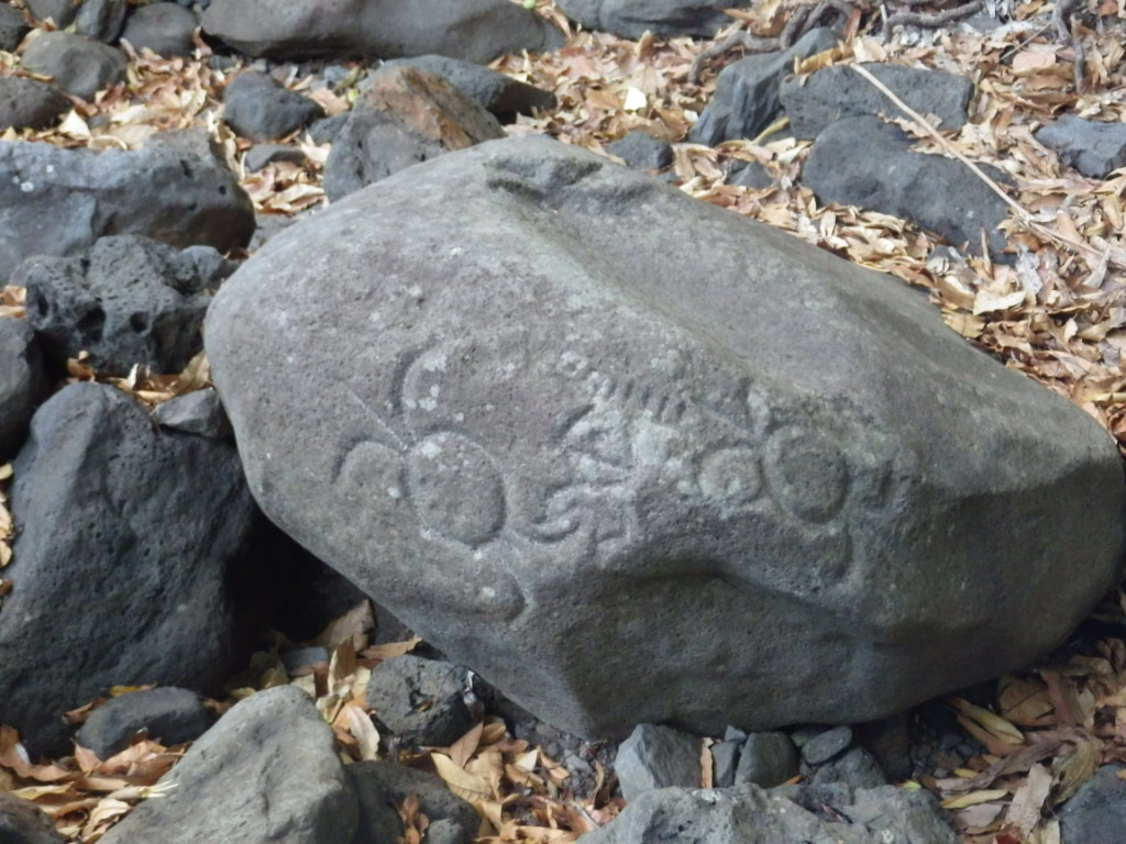 La culture Maori est de tradition orale, pas d'écriture, mais quelques petroglyphes, comme ici a Maupiti